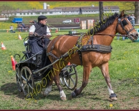2POSIEUX 0185